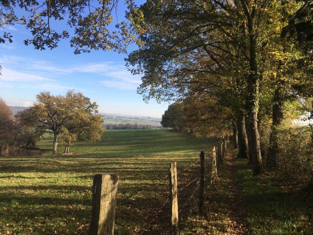 Top 3 des plus belles randonnées du territoire !