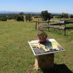 Les plus beaux points de vue du territoire